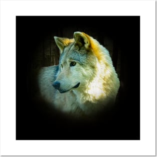 Wolf portrait Posters and Art